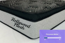 Load image into Gallery viewer, Hollywood Plush