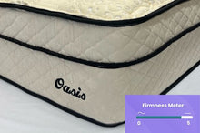 Load image into Gallery viewer, Oasis