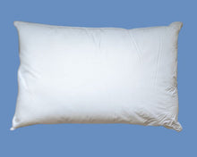 Load image into Gallery viewer, Millano Sliver Clear Pillow