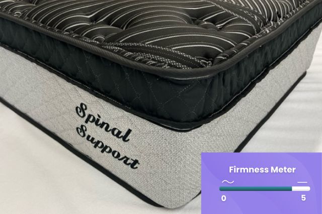 Spinal Support