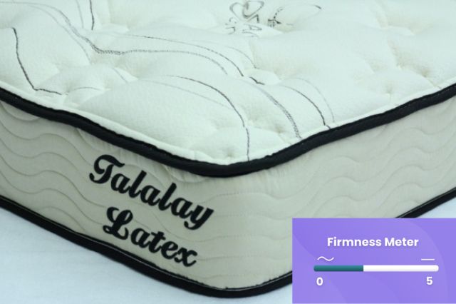 Talalay Latex Firm